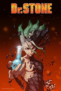 Dr. Stone Cover