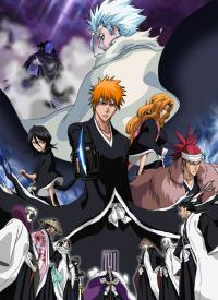 Gekijouban Bleach: The DiamondDust Rebellion Mou Hitotsu no Hyourinmaru Cover