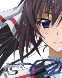 IS: Infinite Stratos 2 - Hitonatsu no Omoide Cover