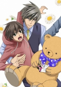 Junjou Romantica 3 Cover