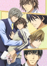 Junjou Romantica Cover