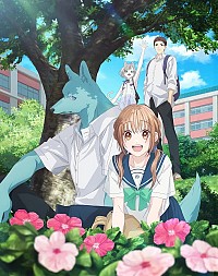 Kimi to Koete Koi ni Naru Cover