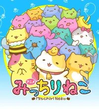 Micchiri Neko Cover