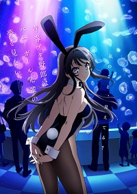 Seishun Buta Yarou wa Bunny Girl Senpai no Yume o Minai Cover