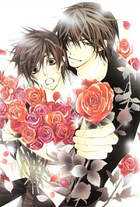 Sekaiichi Hatsukoi Cover