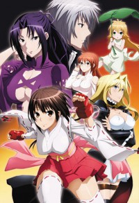 Sekirei: Pure Engagement Cover