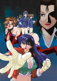 Shin Ban Megami Tantei Vinus File Cover